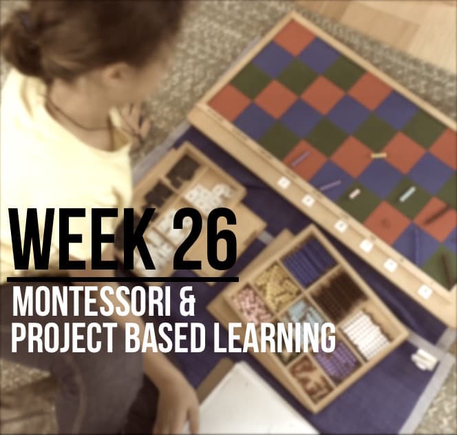 Week 26 - Observing Montessori Style & Project-Based Learning